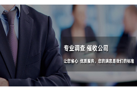 高唐清债公司排名前十名：揭秘债务处理领域的佼佼者