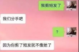 齐河收债公司收费标准：揭秘债务催收行业的透明度